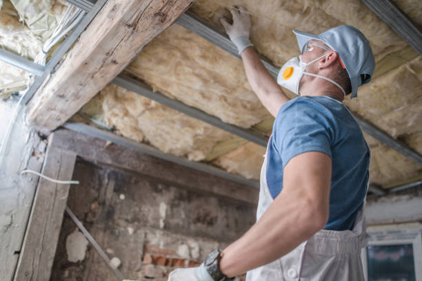 Best Energy Efficiency Insulation in Rogers, MN